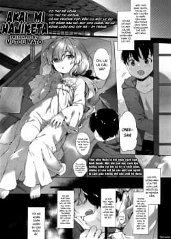 Akai Mi Hajiketa