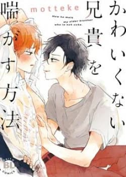 Kawaikunai Aniki O Aegasu Houho-vol 1
