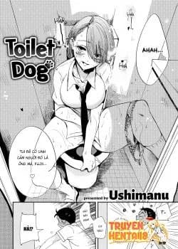 Nhà Wc Chó