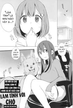 Tôi Hỏi Bà Chị Hàng Xóm Về Việc Làm Tình Và Được Bả Đề Xuất Cho Làm Tình Với Chó Như Một Lời Khuyên!